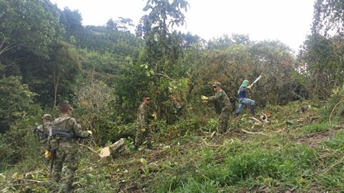 Nota_Risaralda-2.jpg