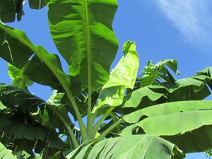 IMG_0243.JPG