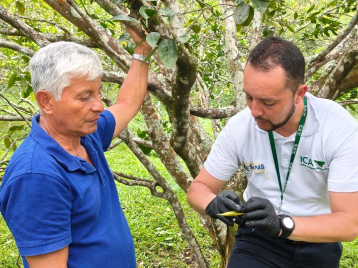 ICA-CUNDINAMARCA-26032026.jpg ICA-CUNDINAMARCA-26032026.jpg