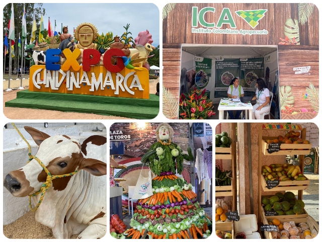 El ICA fue uno de los protagonistas en ExpoCundinamarca para el control sanitario de la feria 