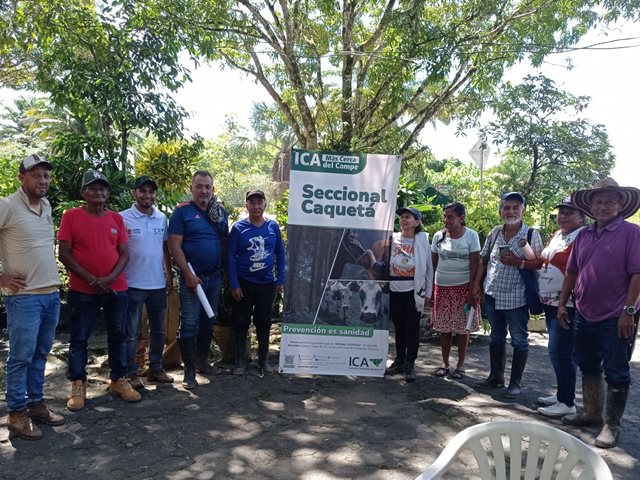 El ICA garantiza la sanidad de los sistemas productivos de cacao en Caquetá mediante visitas de prevención, vigilancia y control