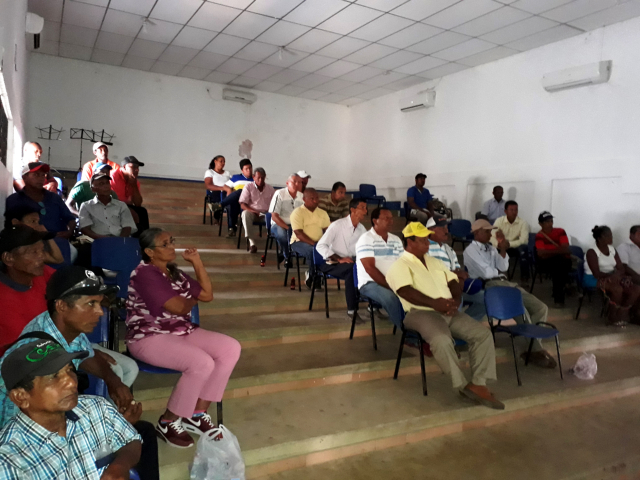 El ICA trabaja contra la brucelosis y tuberculosis bovina en el Cesar