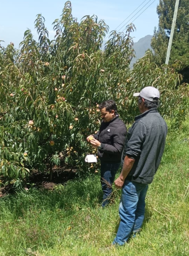 Foto-ICA-Inspeccion-fitosanitaria-a-cultivos-y-capacitacion-a-agricultores-1.jpg
