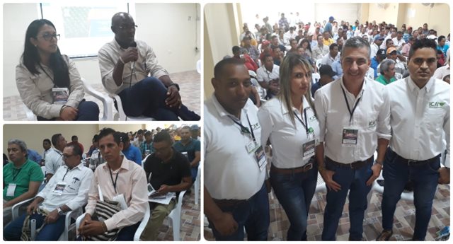 En El Copey, Cesar, 200 asistentes técnicos de cultivos de palma de aceite se capacitan para asegurar la calidad fitosanitaria de las plantaciones 
