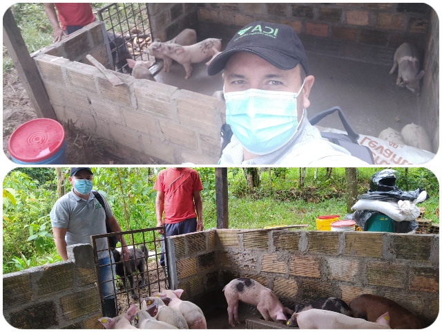 Acciones para prevenir la PPC en el Putumayo.