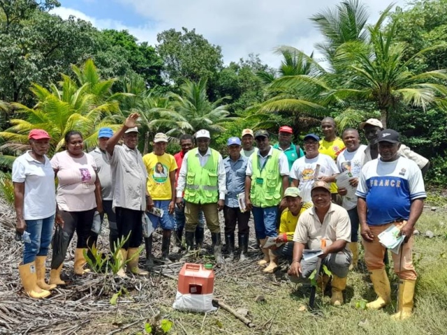 Funcionarios del ICA con productores de coco. 