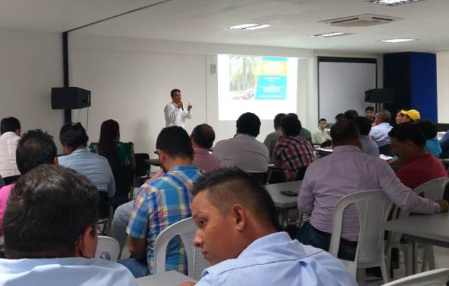 El ICA realizó taller de actualización técnica y manejo fitosanitario en el cultivo de palma de aceite en el Meta 
