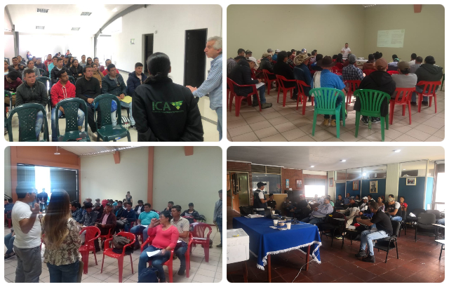 Vacunadores de Cundinamarca se preparan para el segundo ciclo de vacunación contra fiebre aftosa
