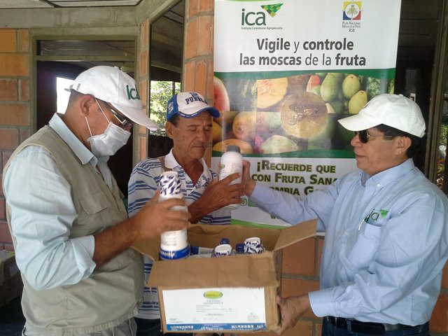 ICA entrega insumos a cultivadores de aguacate en los Montes de María