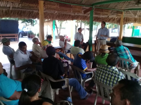 El ICA vigila predios ganaderos por presencia de rabia de origen silvestre en los municipios de Galeras y Buenavista en Sucre 