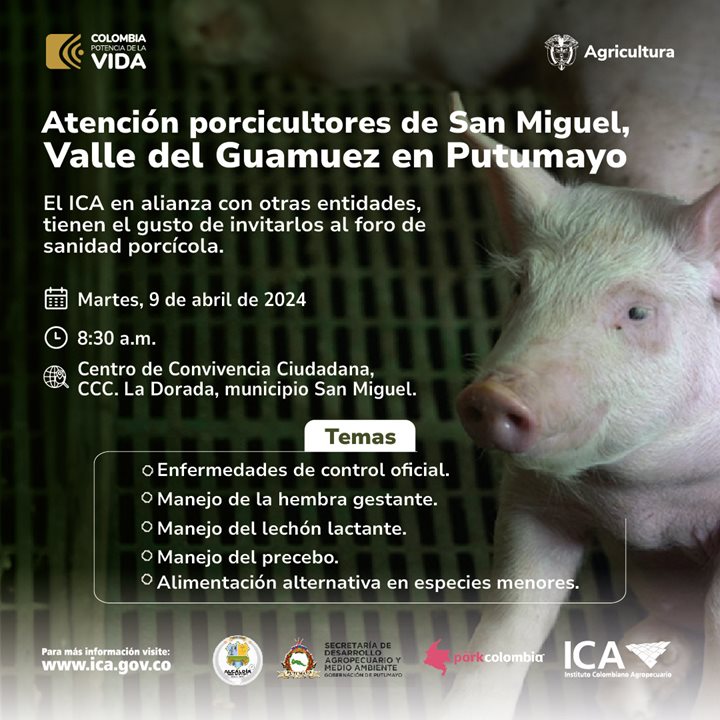 PORCICULTORES-SANMIGUEL.jpeg