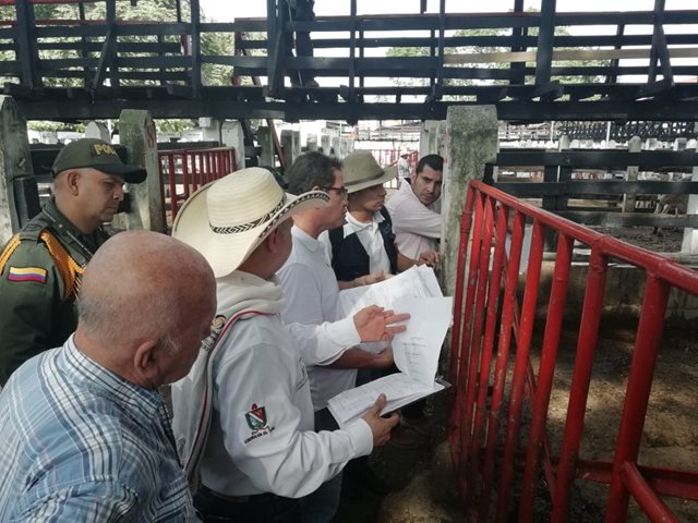 El ICA, en el Tolima, refuerza medidas sanitarias para evitar el ingreso de fiebre aftosa 