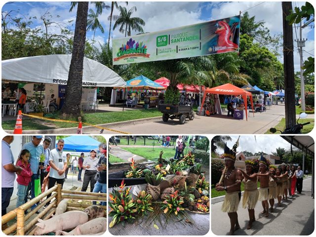 El ICA supervisó con éxito la 8ª Feria Comercial Chagrarte, en el Amazonas
