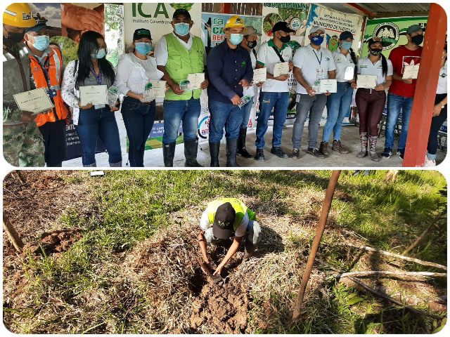 Primera campaña de reforestación en Puerto Asís.