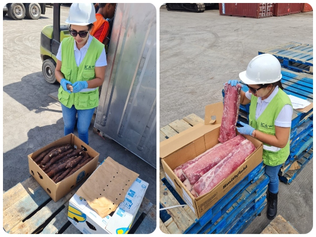 El ICA en San Andrés inspecciona las importaciones de productos agropecuarios 