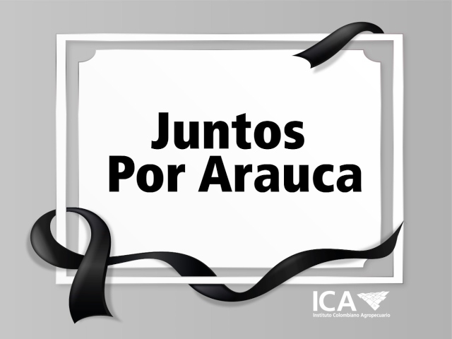 ICA atiende la contingencia por el atentado en Saravena.