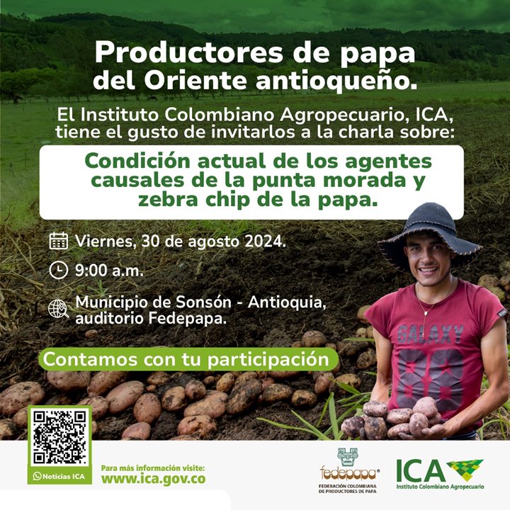 PAPANATIOQUIA.jpeg