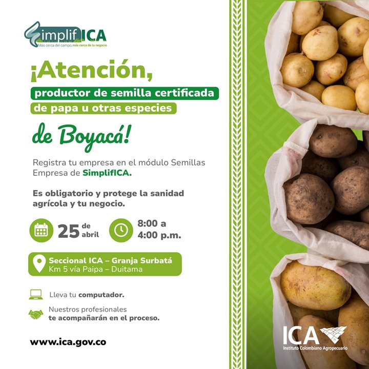 BOYACA.jpeg