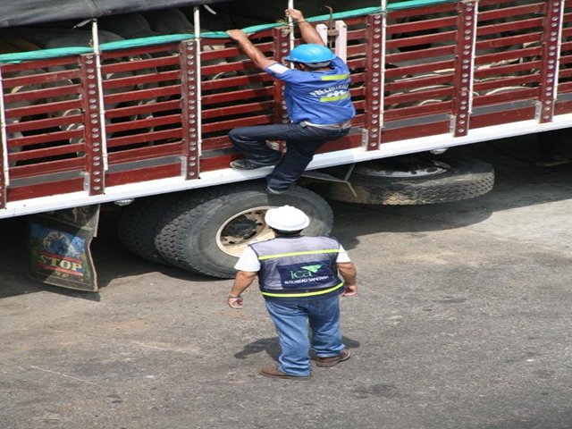 Sobre el control sanitario a la movilización de animales en el territorio nacional