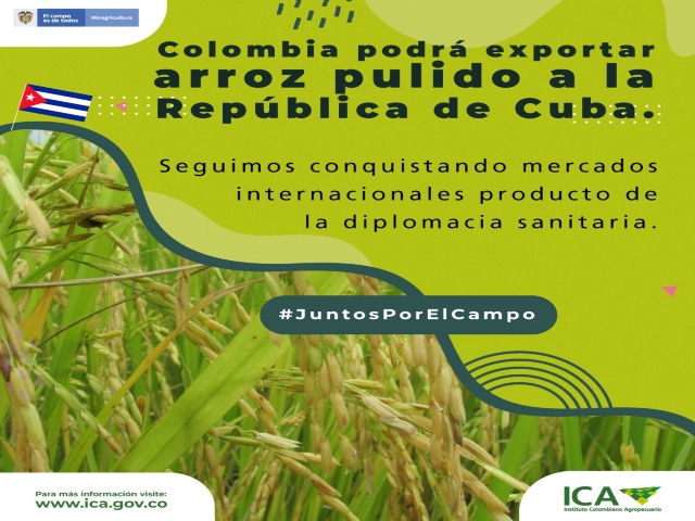 Admisibilidad de arroz pulido a Cuba