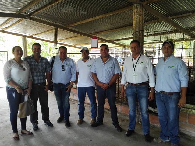 El ICA actualizó a productores ovino caprinos del Caquetá 