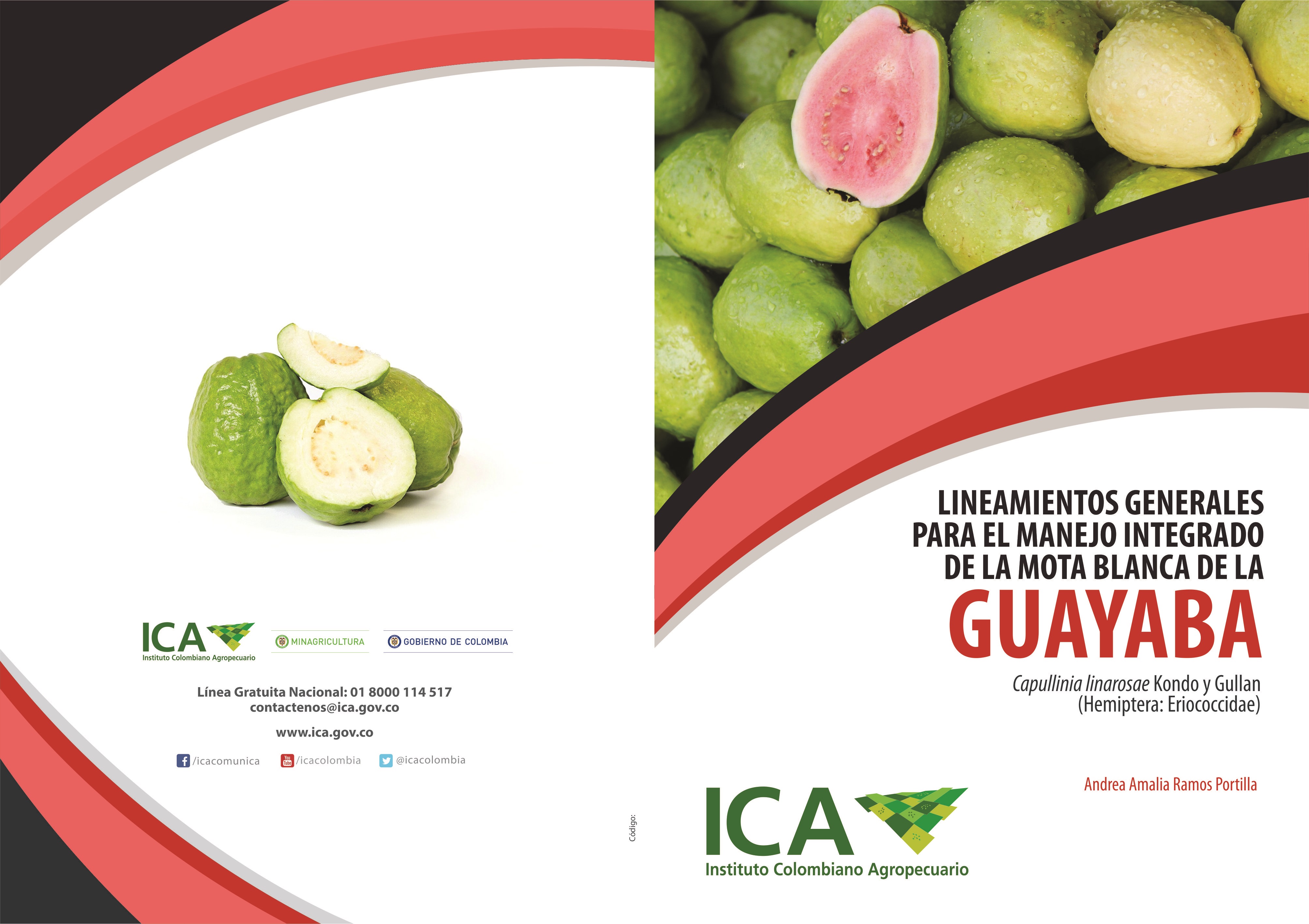 Imagen de Lineamientos generales para el manejo integrado de la mota blanca de la guayaba - Capullinia kondo y Gullan