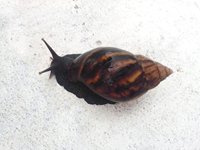 CC_125527.jpg CC_125527.jpg