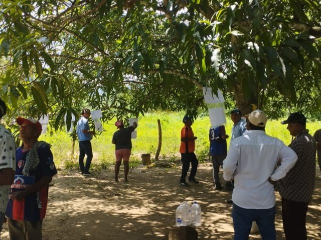 En Atlántico, el ICA impulsa la prevención fitosanitaria en cultivos de yuca y maíz  