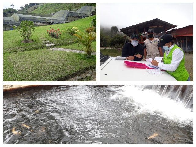 El ICA visitó establecimientos acuícolas en Risaralda