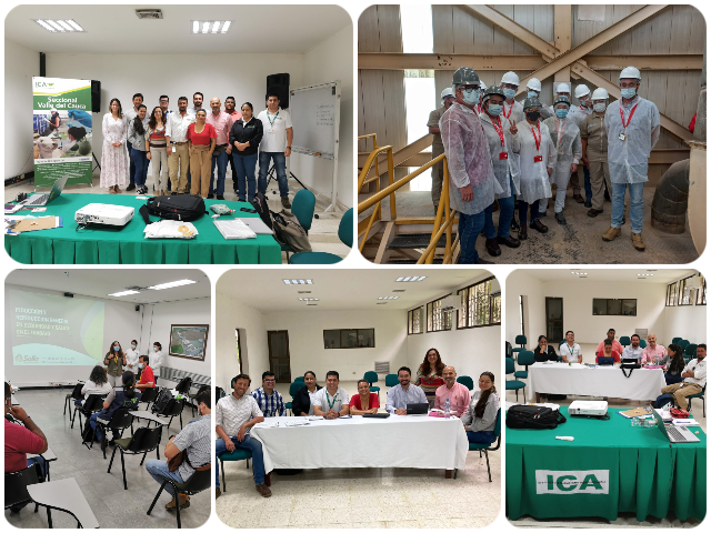 En el Valle del Cauca, el ICA promueve las Buenas Prácticas de Manufactura para alimentación animal