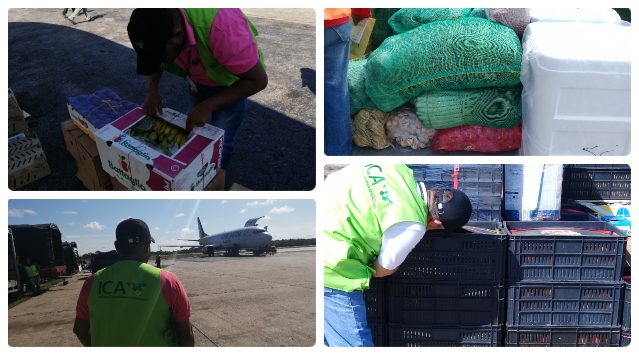 collage-fotos-ICA-aeropuerto-guainia.jpg