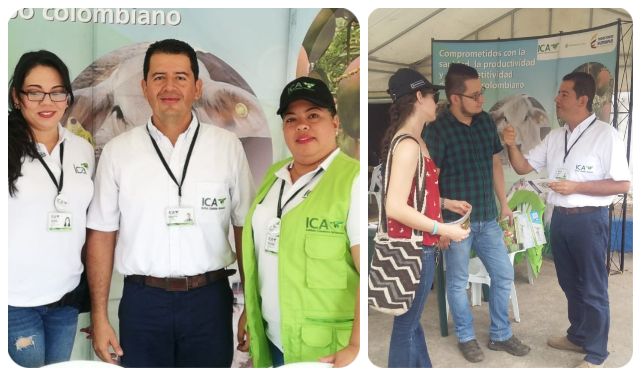 collage-feria-ganadera-ica.jpg collage-feria-ganadera-ica.jpg