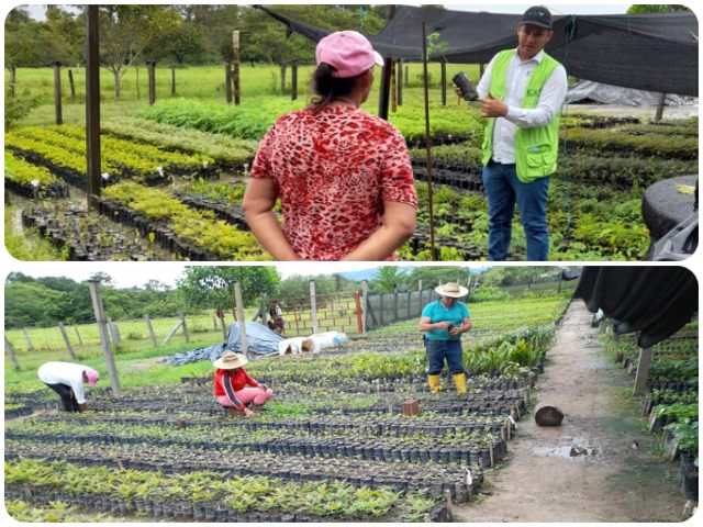 Visita viveros de Arauca