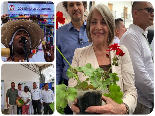 Las mujeres rurales siembran paz y vida en el campo colombiano