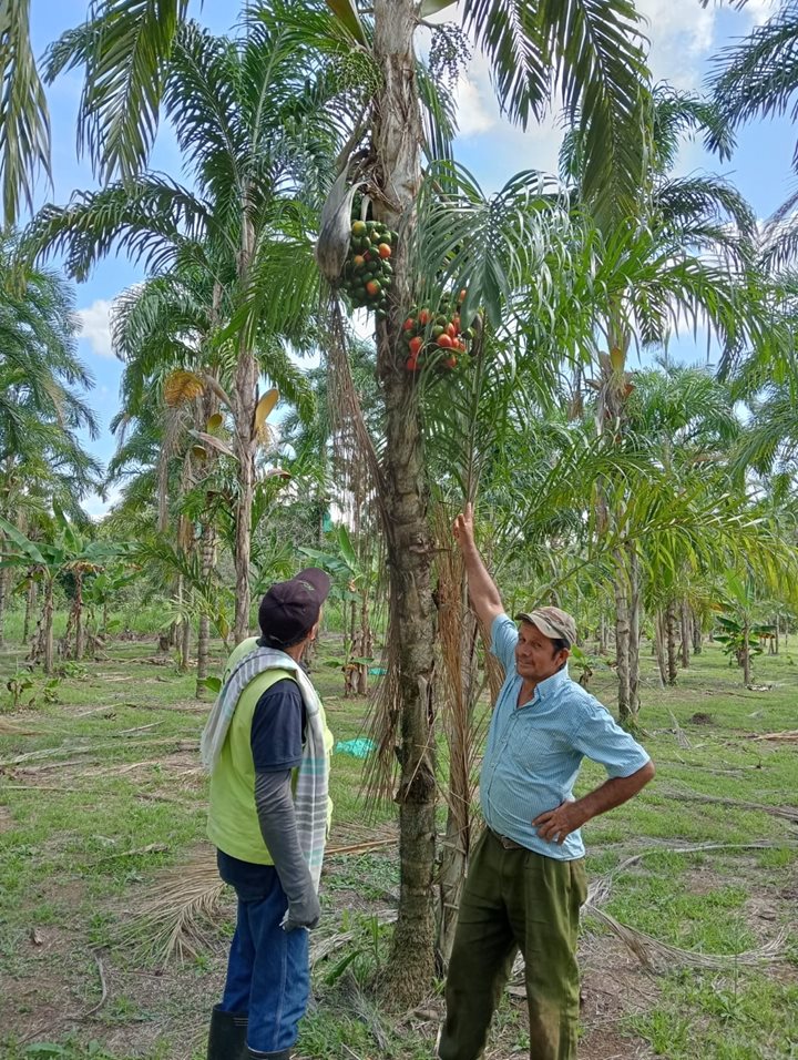 GUAVIARE-ICA-9102025.jpeg