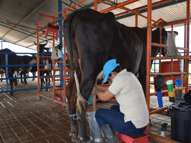 Admisibilidad leche y derivados lácteos a Israel