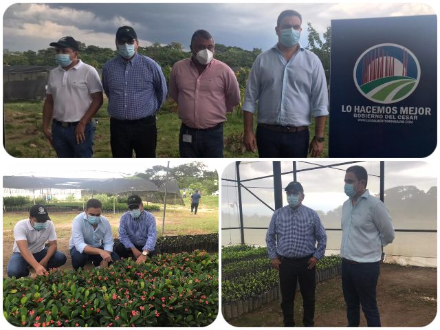El ICA entregó registro a Vivero Departamental del Cesar 