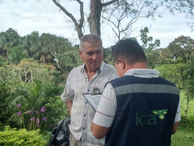 Caquetá entregó consolidado del  primer ciclo de vacunación contra fiebre aftosa del 2017 
