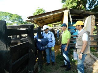 DSCN1148.jpg