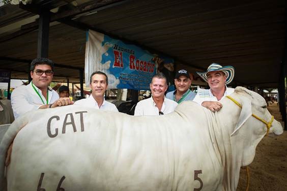 La carne bovina colombiana llega a la mesa de los libaneses