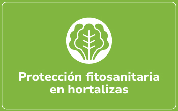 Hortalizas y Aromáticas