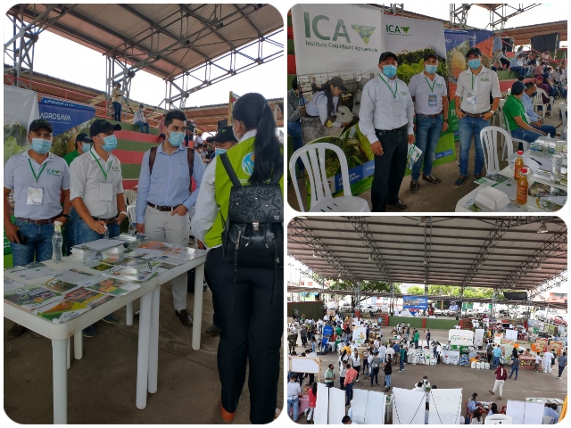 Con rueda de negocios en Santana, Boyacá, el ICA apoya a pequeños y medianos productores de la región 