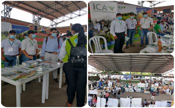 Rueda de negocios Santana 