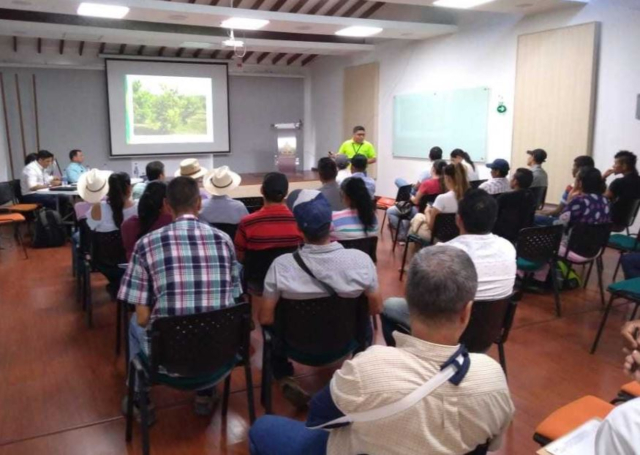 En Antioquia, productores se capacitan para mantener sanos sus cultivos de aguacate y de cítricos 