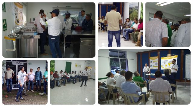 collage_laboratorio_ica_uraba.jpg