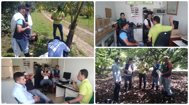 COLLAGE-FOTOS-ICA-TALLER-HASS-QUINDIO.jpg