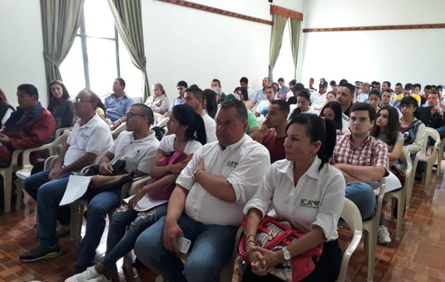 En el Valle del Cauca el ICA avanza en el fortalecimiento de la cadena productiva ovino caprina 