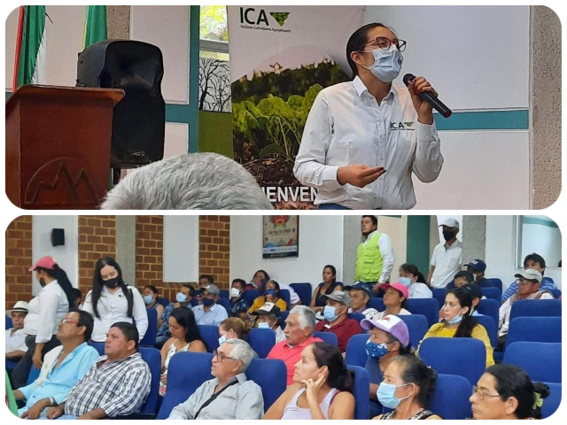 Socialización con familias productoras de aguacate