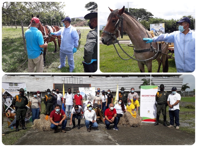 Jornada de vacunación a vehículos de tracción animal.