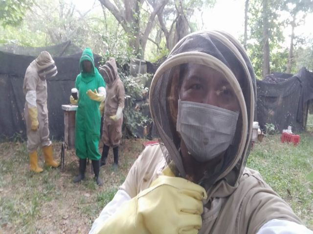 Trabajo en campo en apiario de El Espinal. 